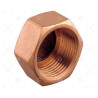 TAPON HEMBRA BRONCE 1" GUIDI