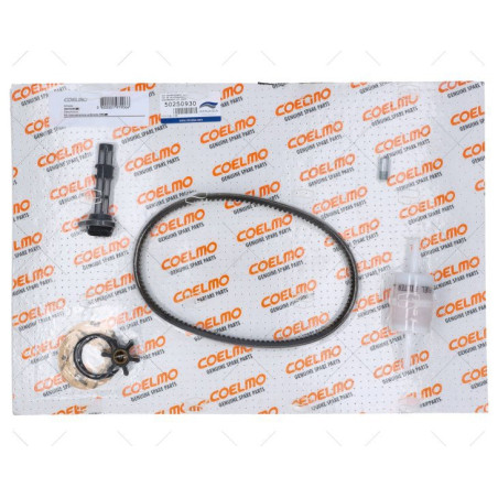 KIT MANTENIMIENTO DM300 COELMO