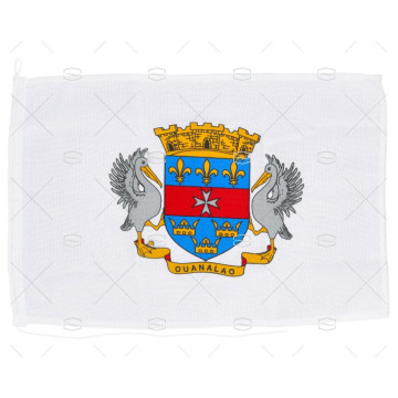 BANDERA SAINT BARTHELEMY 45x 30cm