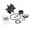 KIT REPARACION BOMBA F35B-8-3-3/8"