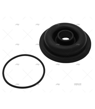 KIT MEMBRANA BOMBA WHALE